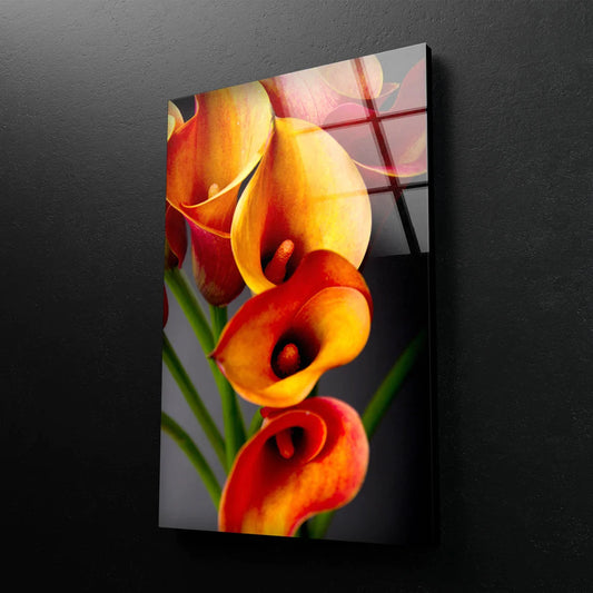 Orange Flowers View UV Direct Aluminum Print Australian Made Quality