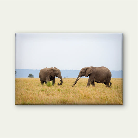 Two African elephants walking across Masai Mara grassland, Kenya Wall Art Decor 100% Australian Made