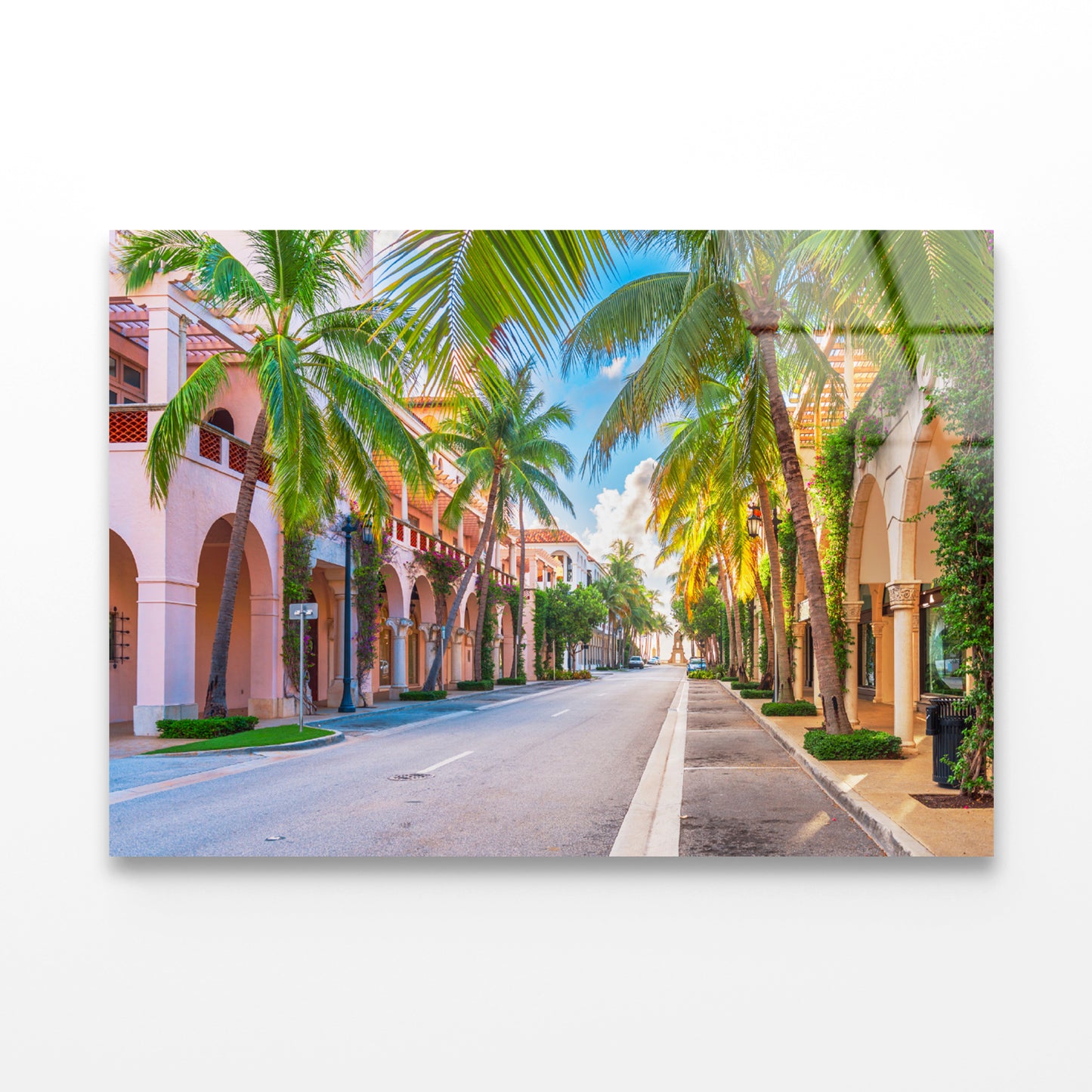 Palm Trees in Streets of Florida Acrylic Glass Print Tempered Glass Wall Art 100% Made in Australia Ready to Hang