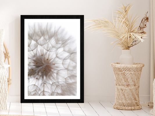 Dandelion Macro Flower Abstract Glass Framed Wall Art, Ready to Hang Quality Print With White Border Black