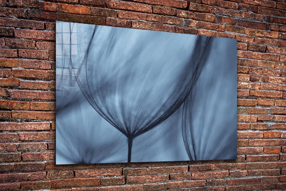 Blue Dandelion View UV Direct Aluminum Print Australian Made Quality