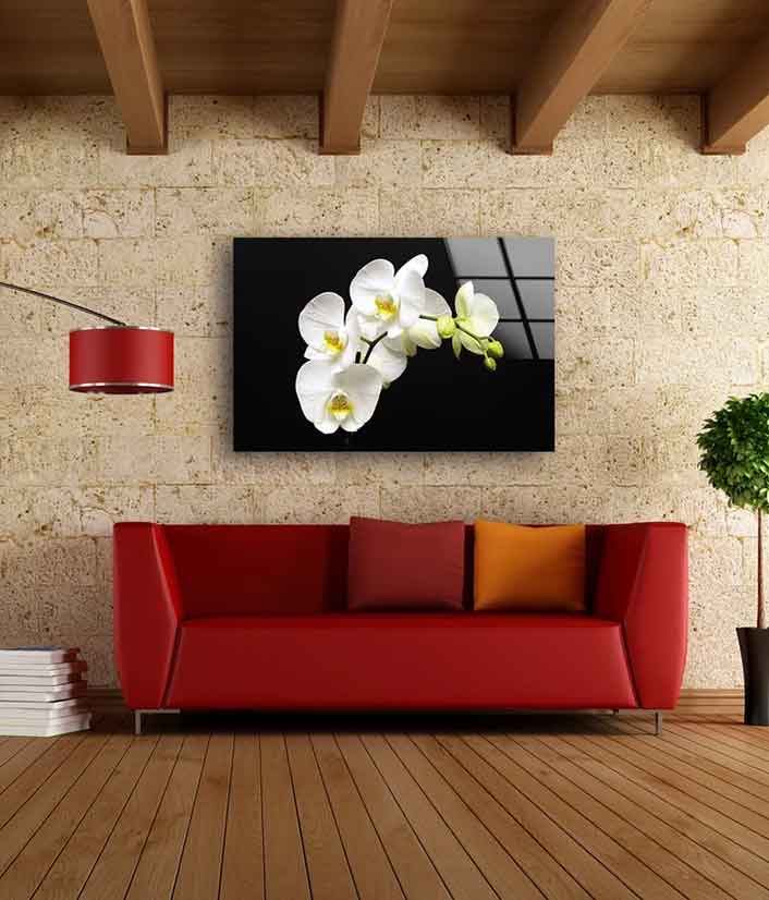 White Orchid Flowers UV Direct Aluminum Print Australian Made Quality