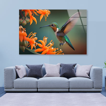 Hummingbird Flies over a Bright Flower Acrylic Glass Print Tempered Glass Wall Art 100% Made in Australia Ready to Hang