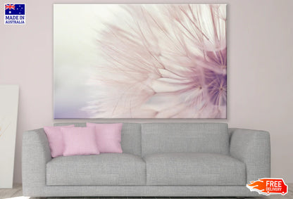 Dandelion Flower Closeup Photograph 90x60cm Print 100% Australian Made