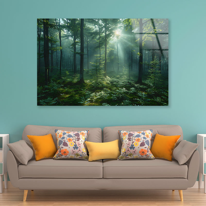 Forest with Sunrise View Acrylic Glass Print Tempered Glass Wall Art 100% Made in Australia Ready to Hang