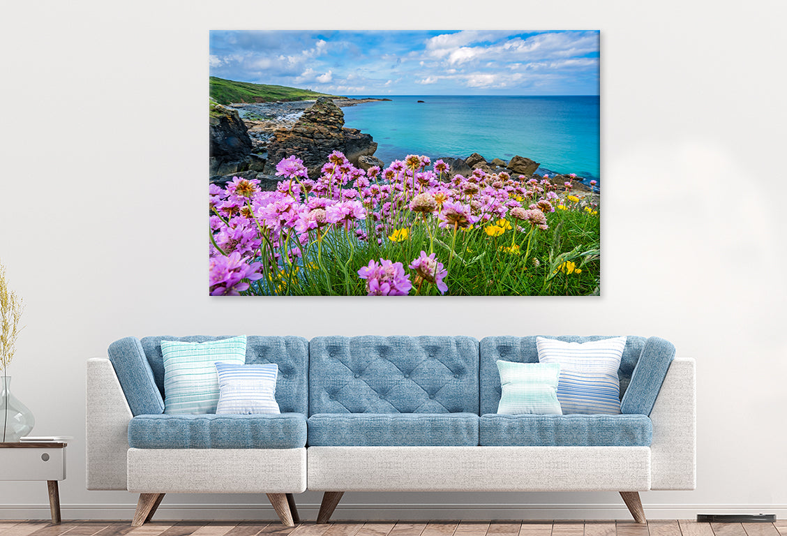 Pink Sea Thrift Flowers in St. Ives, Corn Wall Art Decor 100% Australian Made