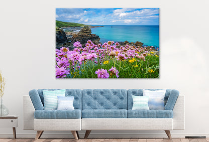 Pink Sea Thrift Flowers in St. Ives, Corn Wall Art Decor 100% Australian Made