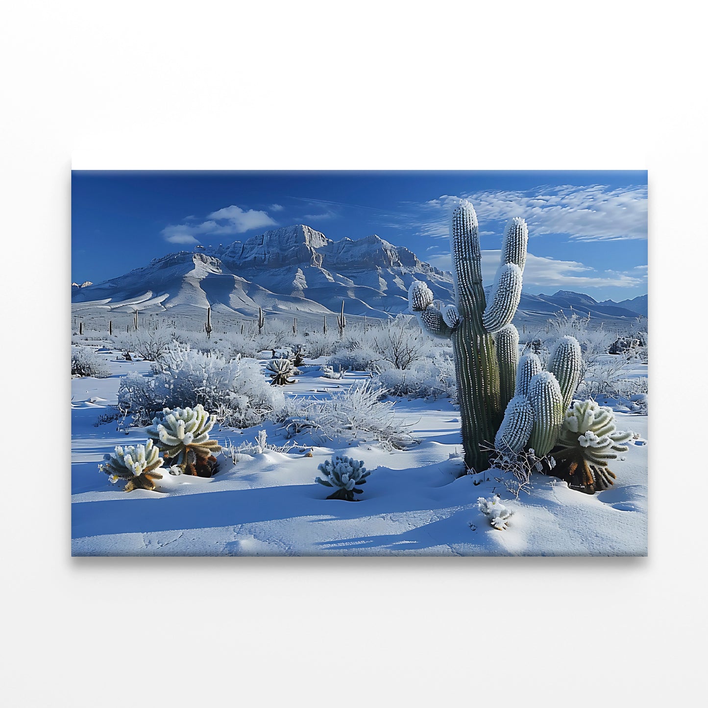 Winter with Snow Covered Trees Print 100% Australian Made