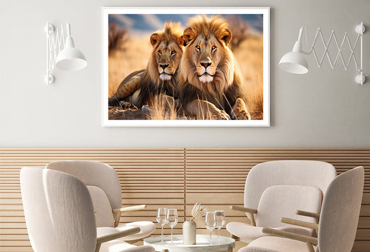 Majestic Lions Resting In the Golden Grasslands Home Decor Premium Quality Poster Print Choose Your Sizes