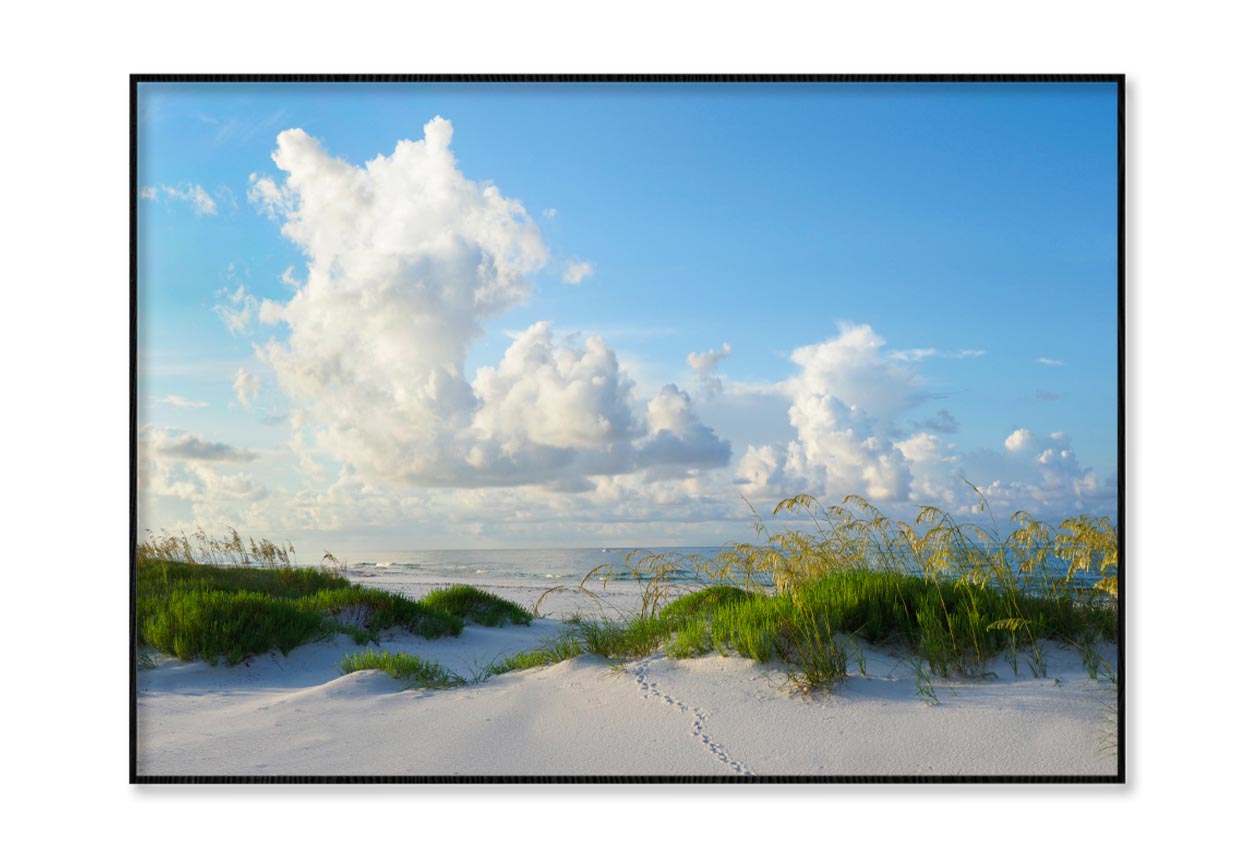 Early Morning Light on A Beautiful White Sand Beach of The Florida Gulf Coast Home Decor Premium Quality Poster Print Choose Your Sizes