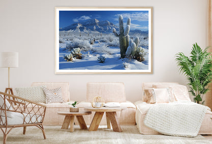 Winter with Snow Covered Trees Home Decor Premium Quality Poster Print Choose Your Sizes