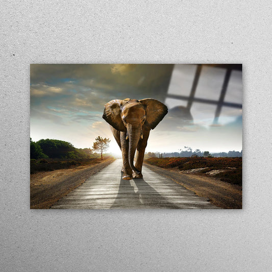 Big Elephant Wall Art Acrylic Glass Print Tempered Glass Wall Art 100% Made in Australia Ready to Hang