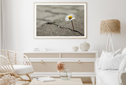 Beautiful Flower Growing Out of Crack in Asphalt Home Decor Premium Quality Poster Print Choose Your Sizes