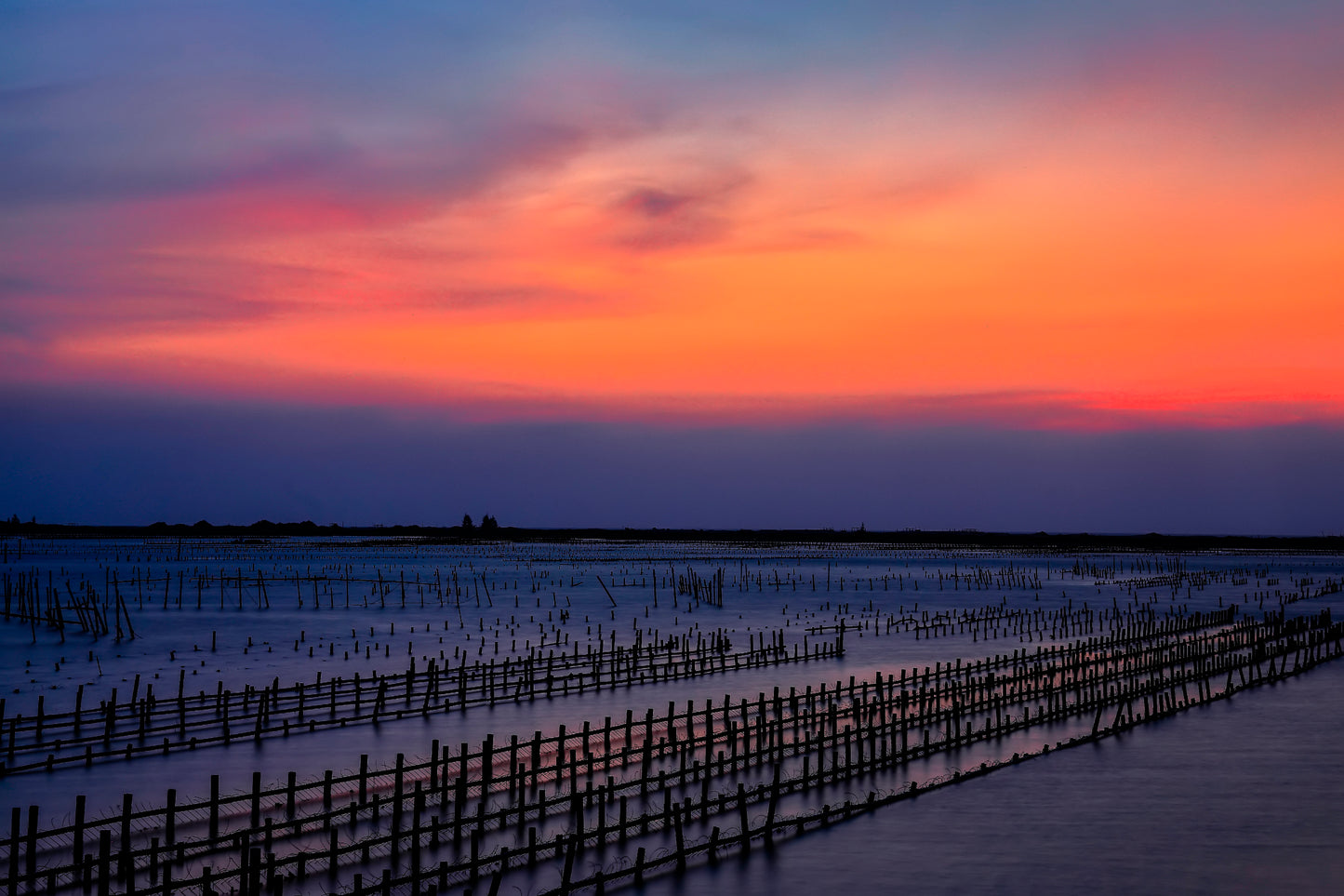 Beautiful Row Oyster Field Sea at Sunset Home Decor Premium Quality Poster Print Choose Your Sizes