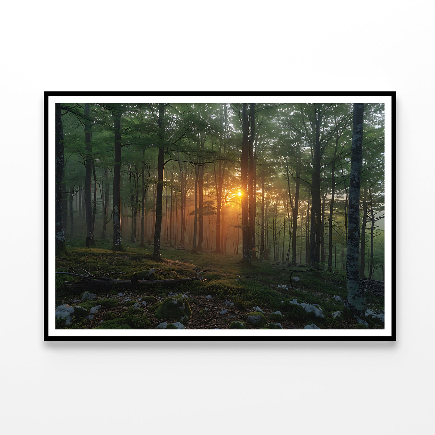 Morning in the Forest Home Decor Premium Quality Poster Print Choose Your Sizes