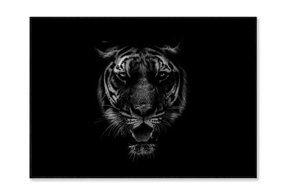 Black & White Beautiful Tiger on Black Home Decor Premium Quality Poster Print Choose Your Sizes