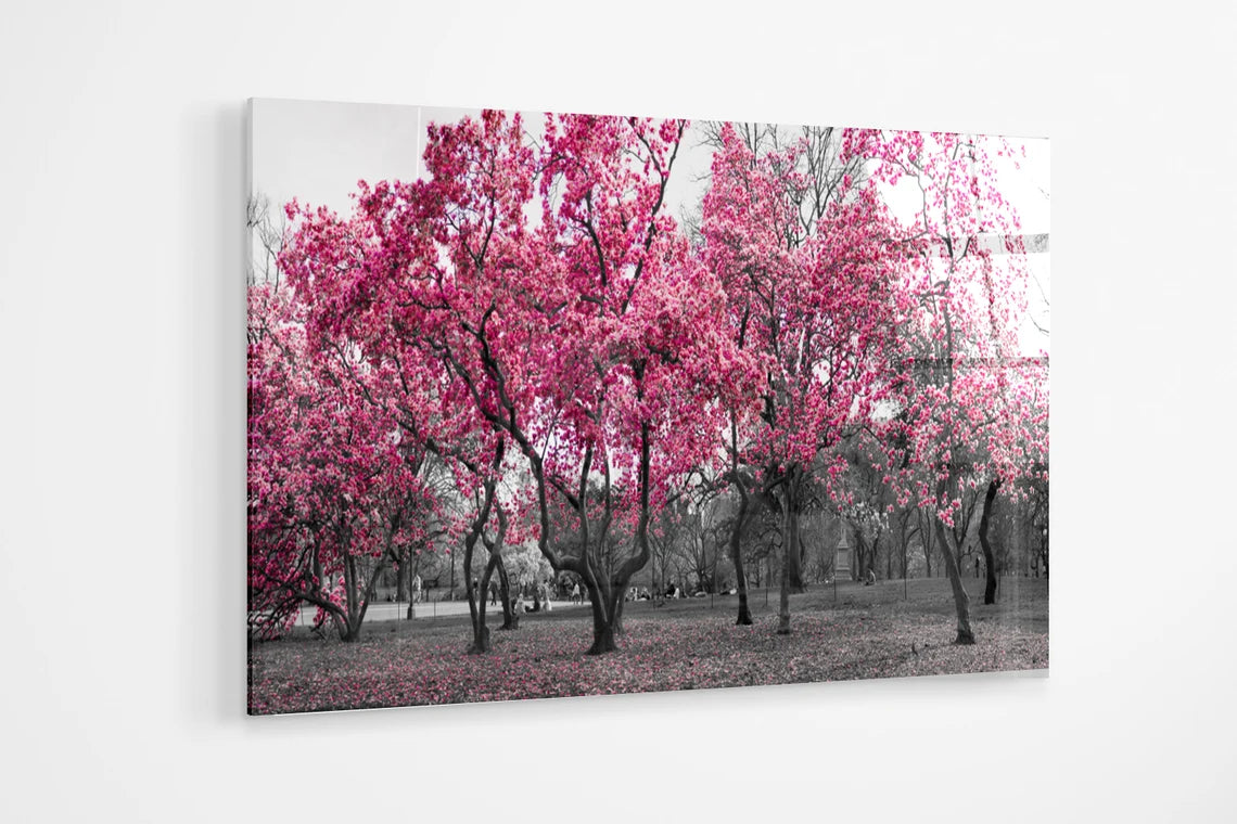 Pink black and white Tree Forest Park UV Direct Aluminum Print Australian Made Quality