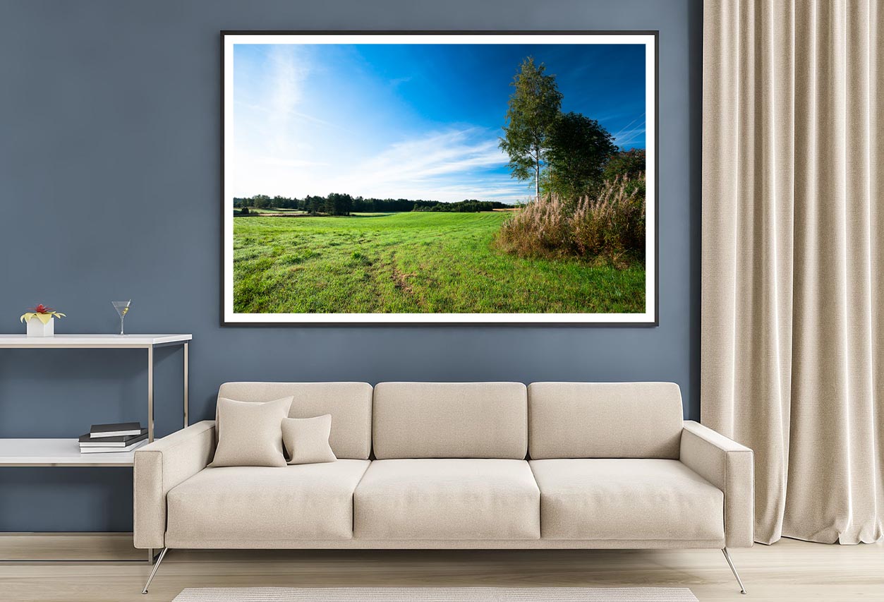 Tranquil Grassland & Trees at Sunrise Home Decor Premium Quality Poster Print Choose Your Sizes