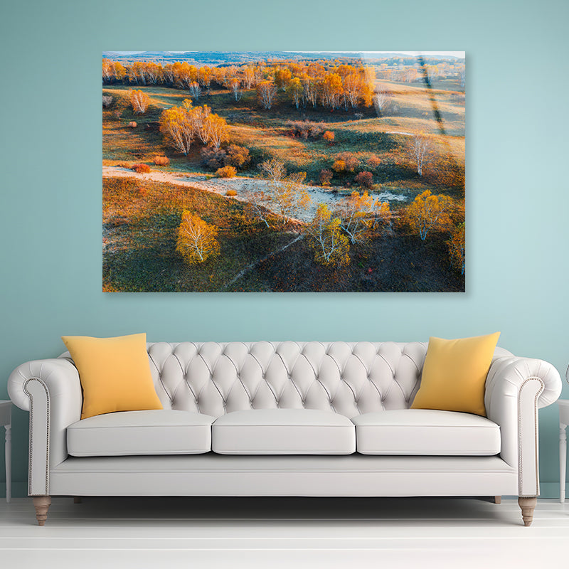 Beautiful Yellow Grassland Nature in autumn Acrylic Glass Print Tempered Glass Wall Art 100% Made in Australia Ready to Hang