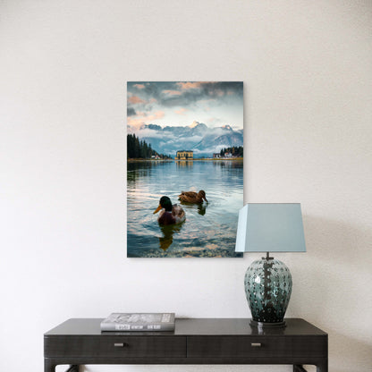 Mallard Ducks Alpine Lake 40x60cm Metal Print Ready to Hang