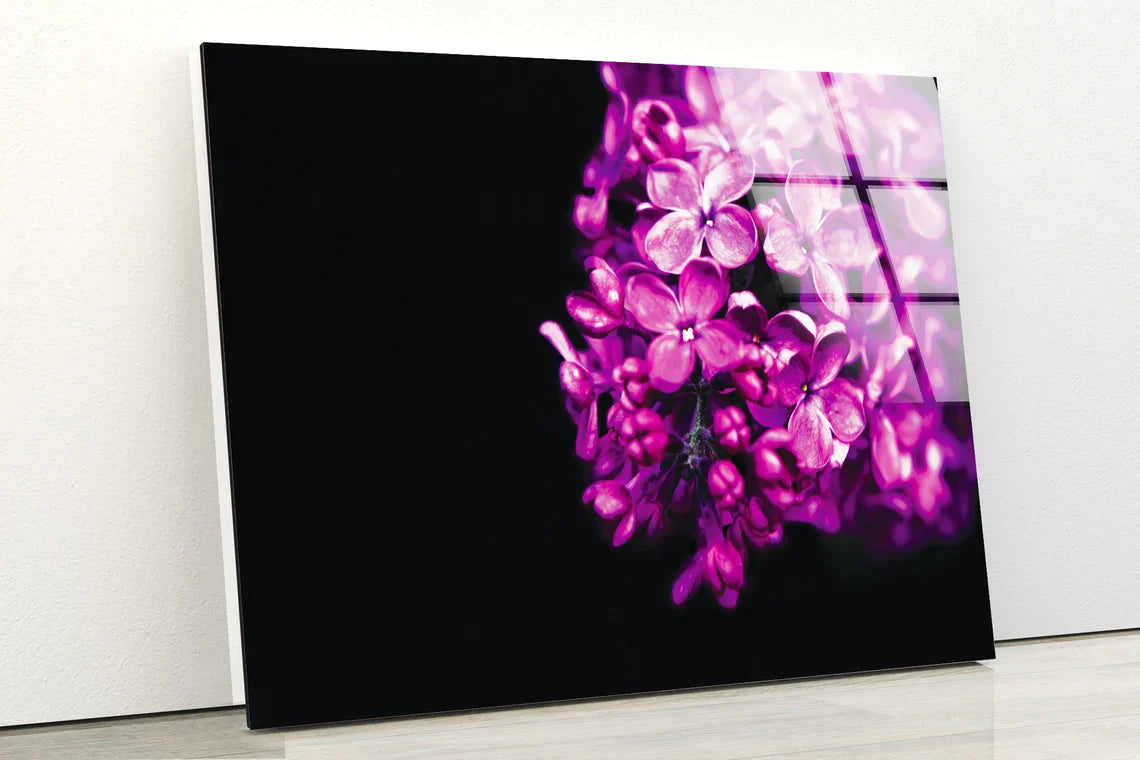 Pink Hydrangea on Dark UV Direct Aluminum Print Australian Made Quality