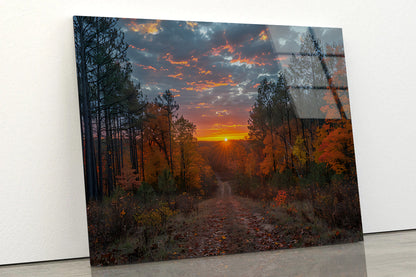 Sunrise in the Forest View Acrylic Glass Print Tempered Glass Wall Art 100% Made in Australia Ready to Hang