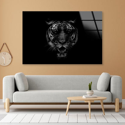 Black & White Beautiful Tiger on Black Acrylic Glass Print Tempered Glass Wall Art 100% Made in Australia Ready to Hang