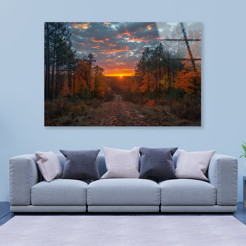 Sunrise in the Forest View Acrylic Glass Print Tempered Glass Wall Art 100% Made in Australia Ready to Hang