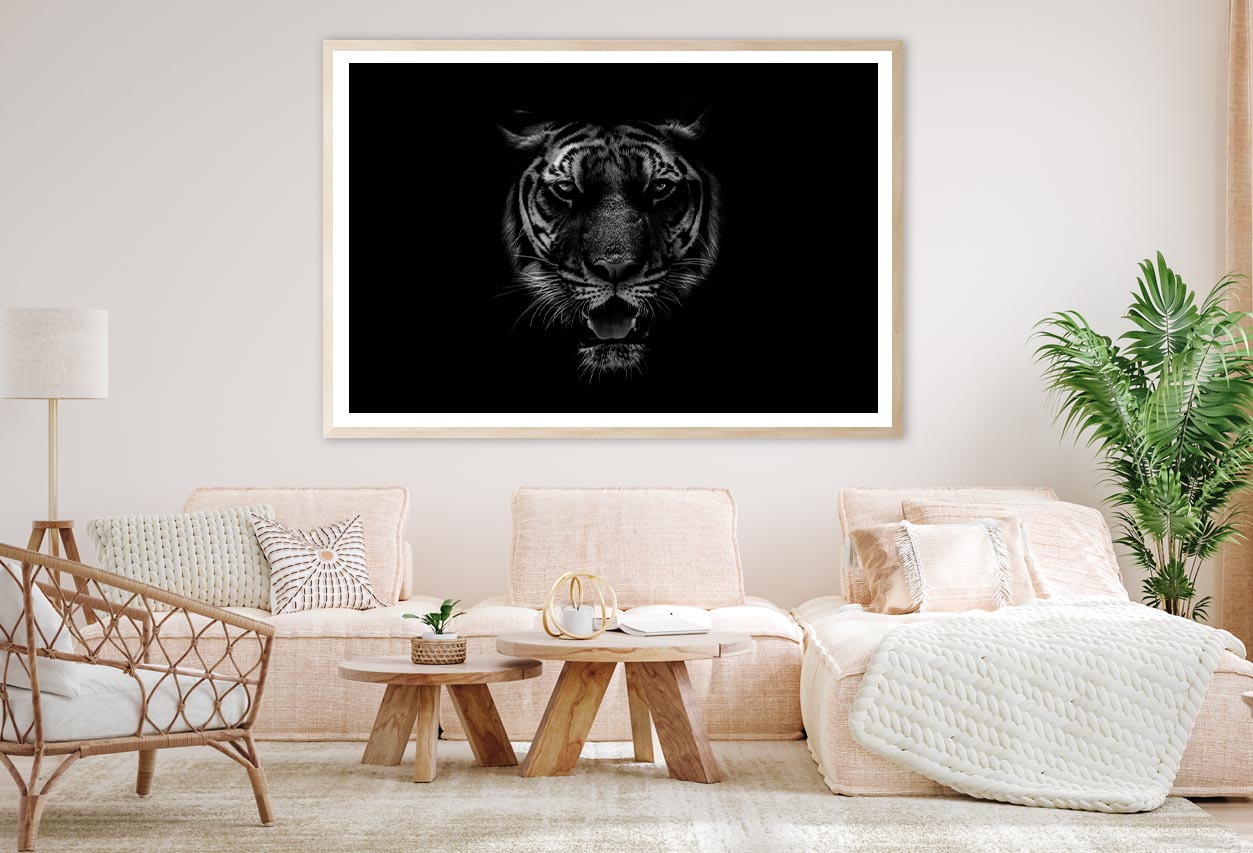 Black & White Beautiful Tiger on Black Home Decor Premium Quality Poster Print Choose Your Sizes