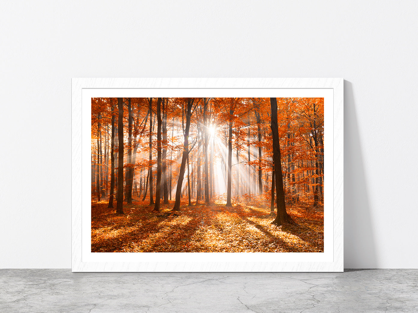 Morning In The Autumn Forest Glass Framed Wall Art, Ready to Hang Quality Print With White Border White