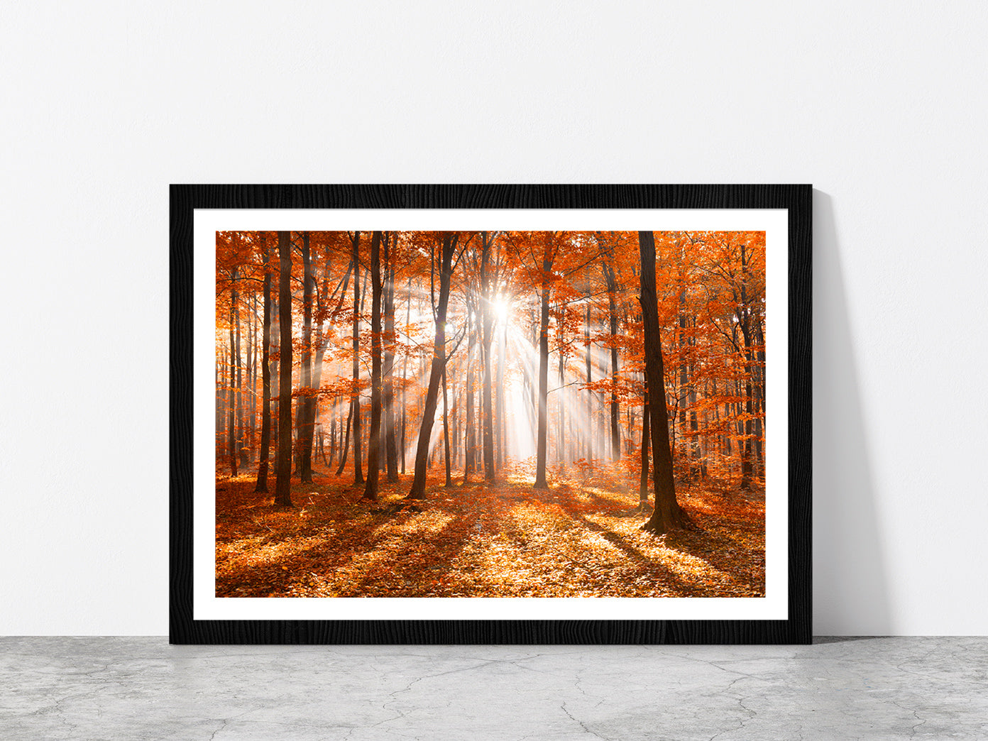 Morning In The Autumn Forest Glass Framed Wall Art, Ready to Hang Quality Print With White Border Black