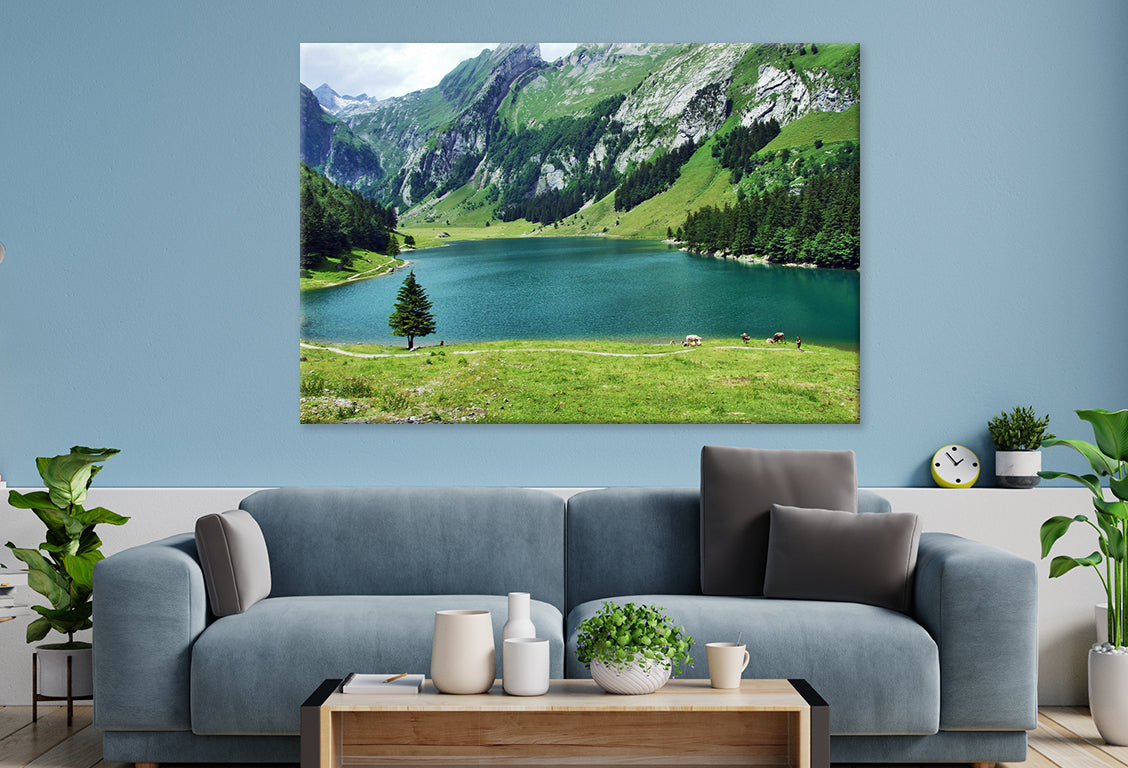Seealpsee Lake, Appenzell, Swiss Wall Art Decor 100% Australian Made