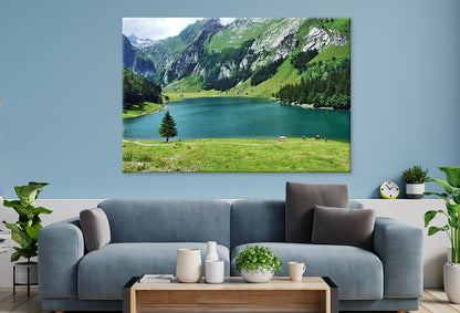 Seealpsee Lake, Appenzell, Swiss Wall Art Decor 100% Australian Made