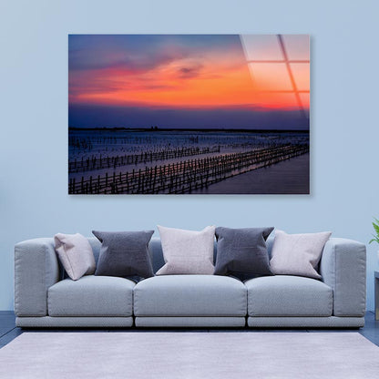 Beautiful Row Oyster Field Sea at Sunset Acrylic Glass Print Tempered Glass Wall Art 100% Made in Australia Ready to Hang