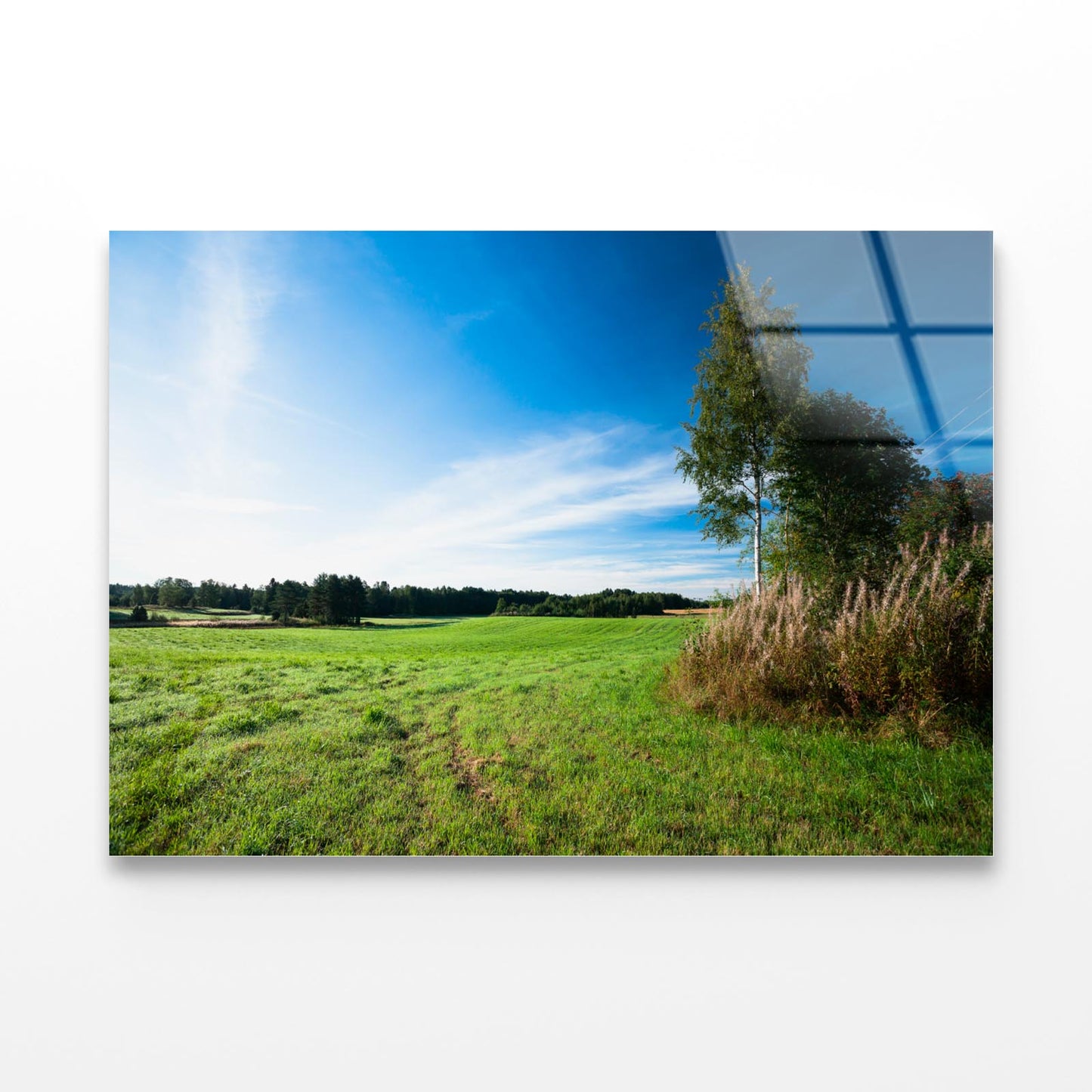 Tranquil Grassland & Trees at Sunrise Acrylic Glass Print Tempered Glass Wall Art 100% Made in Australia Ready to Hang