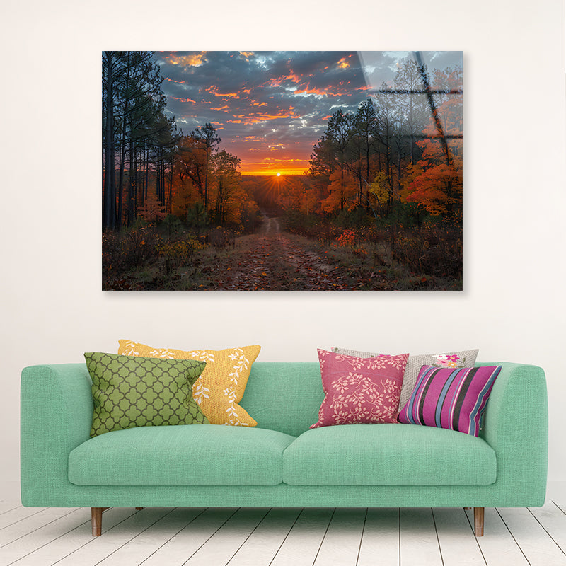 Sunrise in the Forest View Acrylic Glass Print Tempered Glass Wall Art 100% Made in Australia Ready to Hang