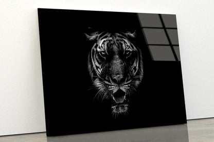 Black & White Beautiful Tiger on Black Acrylic Glass Print Tempered Glass Wall Art 100% Made in Australia Ready to Hang