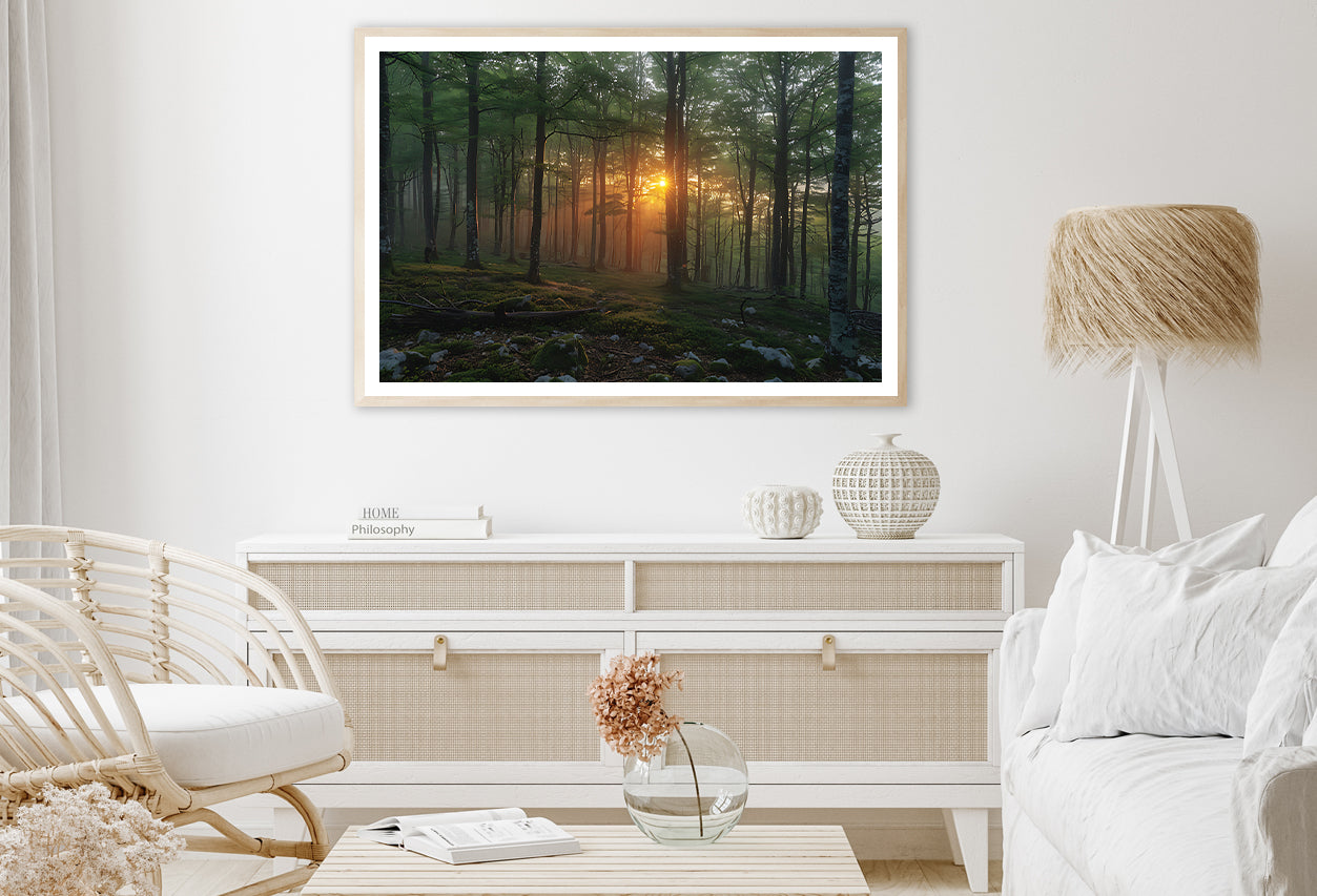 Morning in the Forest Home Decor Premium Quality Poster Print Choose Your Sizes