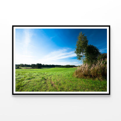 Tranquil Grassland & Trees at Sunrise Home Decor Premium Quality Poster Print Choose Your Sizes