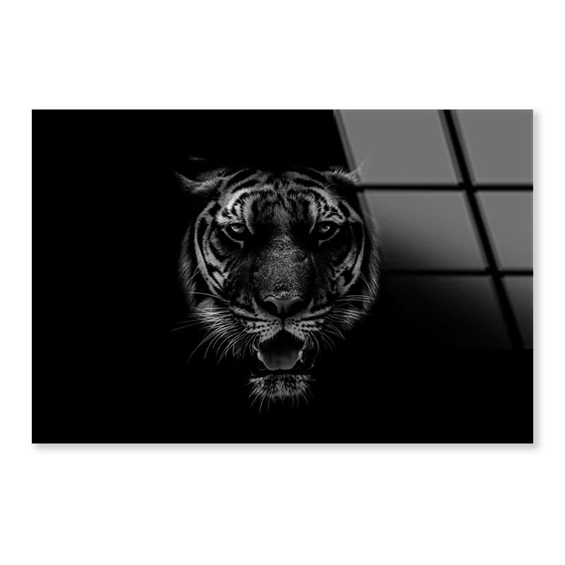 Black & White Beautiful Tiger on Black Acrylic Glass Print Tempered Glass Wall Art 100% Made in Australia Ready to Hang