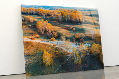 Beautiful Yellow Grassland Nature in autumn Acrylic Glass Print Tempered Glass Wall Art 100% Made in Australia Ready to Hang