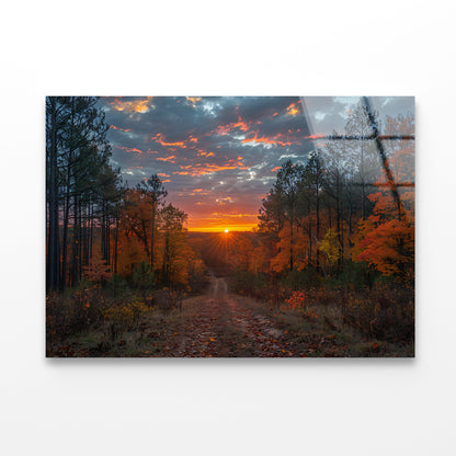 Sunrise in the Forest View Acrylic Glass Print Tempered Glass Wall Art 100% Made in Australia Ready to Hang