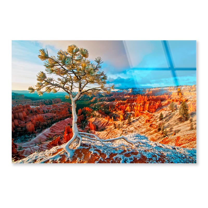 Snow Storm in Bryce Acrylic Glass Print Tempered Glass Wall Art 100% Made in Australia Ready to Hang