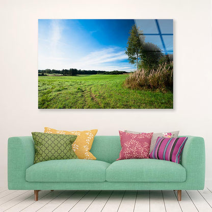 Tranquil Grassland & Trees at Sunrise Acrylic Glass Print Tempered Glass Wall Art 100% Made in Australia Ready to Hang