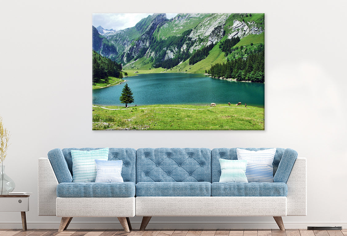 Seealpsee Lake, Appenzell, Swiss Wall Art Decor 100% Australian Made