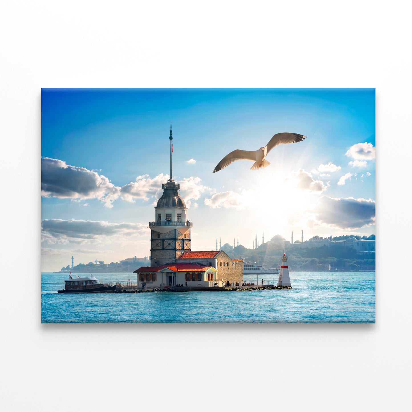 Seagull Flying Near Maiden Tower  Wall Art Decor 100% Australian Made