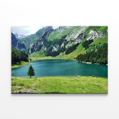 Seealpsee Lake, Appenzell, Swiss Wall Art Decor 100% Australian Made