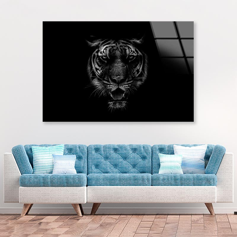 Black & White Beautiful Tiger on Black Acrylic Glass Print Tempered Glass Wall Art 100% Made in Australia Ready to Hang