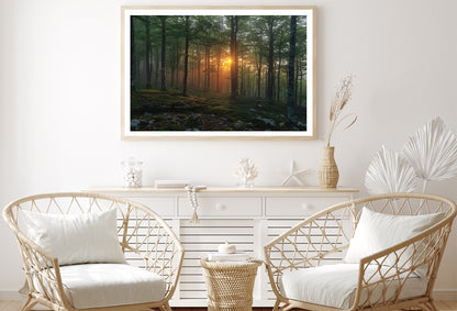 Morning in the Forest Home Decor Premium Quality Poster Print Choose Your Sizes