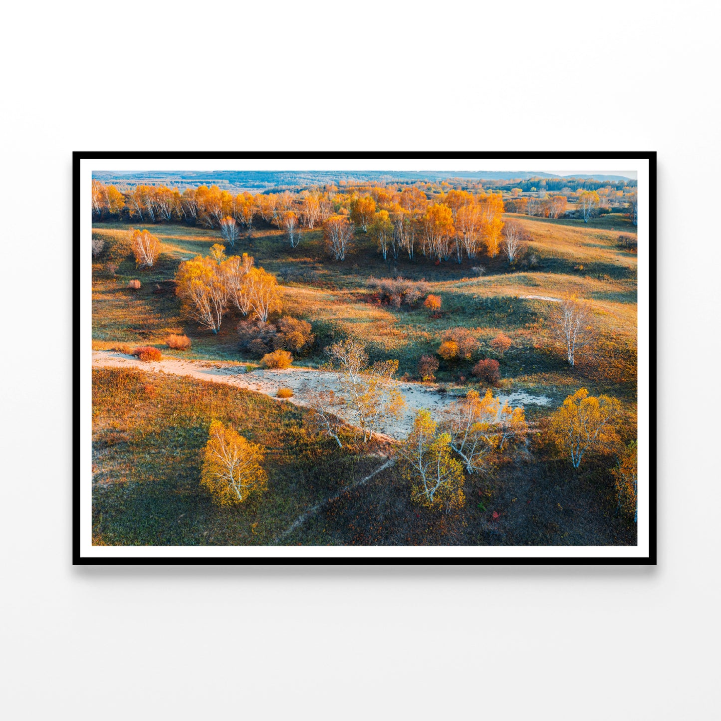 Beautiful Yellow Grassland Nature in autumn Home Decor Premium Quality Poster Print Choose Your Sizes